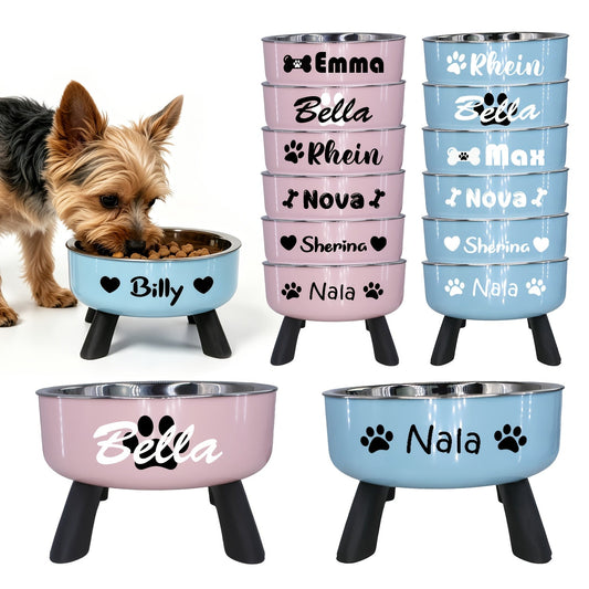 Personalized Elevated Stainless Steel Pet Bowl – Anti-Slip Feeding Bowl