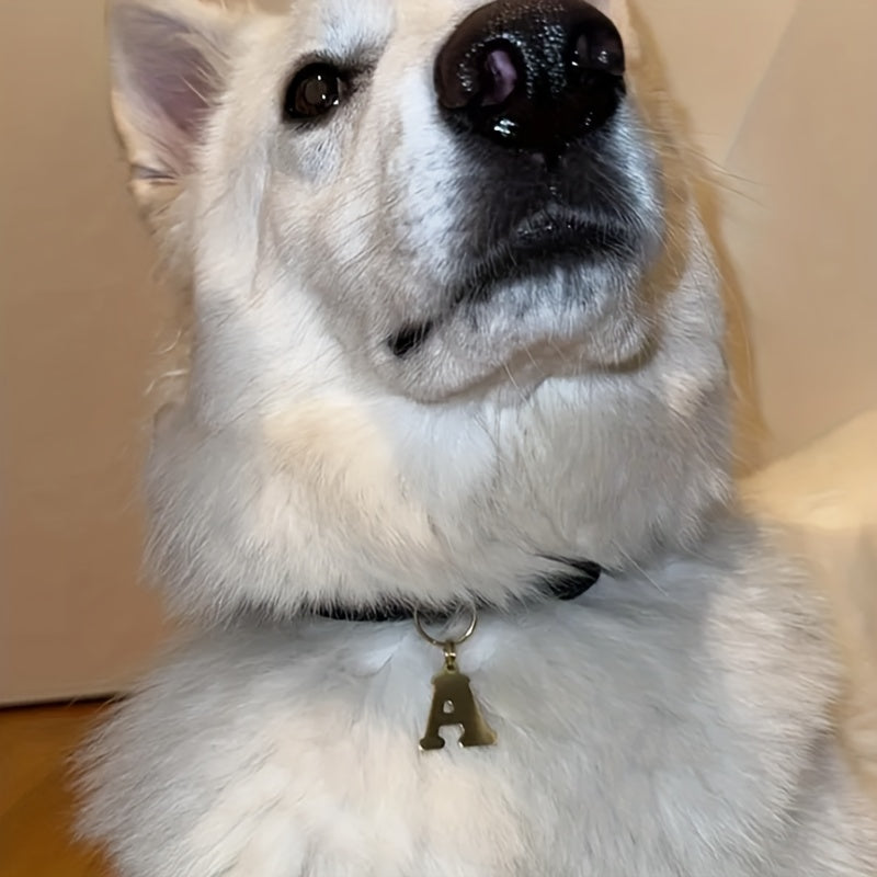 Personalized Stainless Steel Dog Tag – Engraved Initial Pet ID Pendant