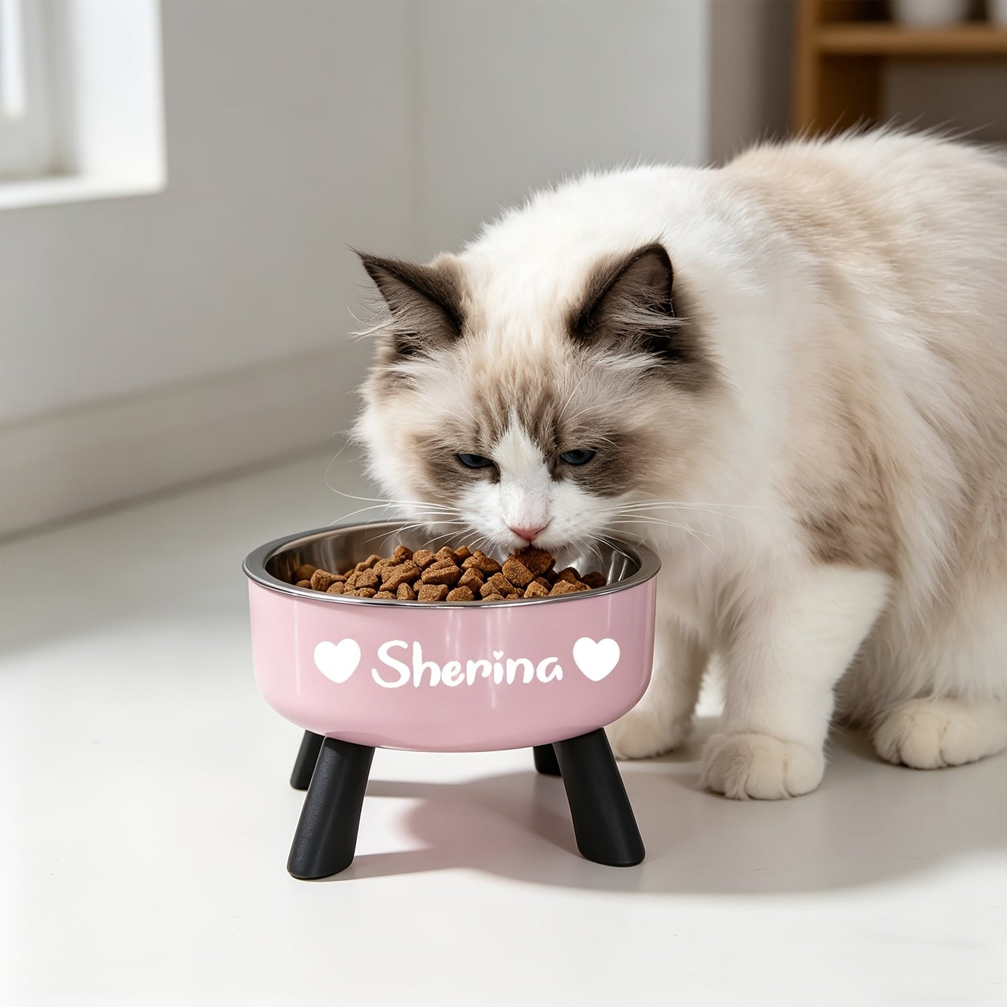 Personalized Elevated Stainless Steel Pet Bowl – Anti-Slip Feeding Bowl