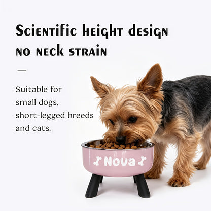 Personalized Elevated Stainless Steel Pet Bowl – Anti-Slip Feeding Bowl