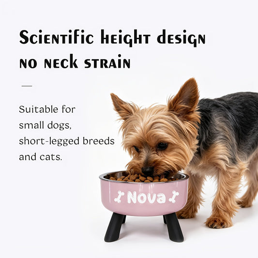 Personalized Elevated Stainless Steel Pet Bowl – Anti-Slip Feeding Bowl