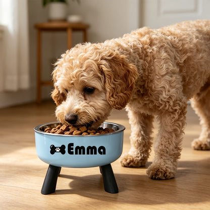 Personalized Elevated Stainless Steel Pet Bowl – Anti-Slip Feeding Bowl